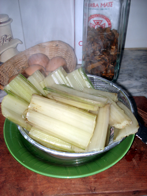 arx1247642387e.jpg