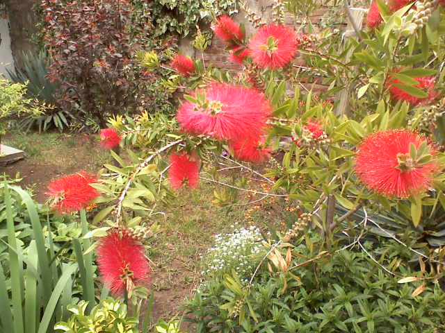 arx1257315558t.jpg