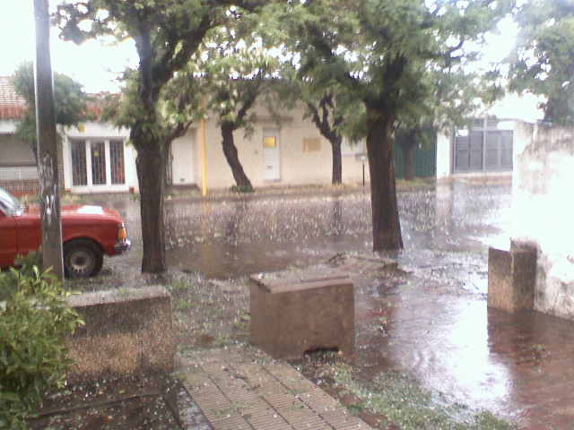 arx1258440645p.jpg