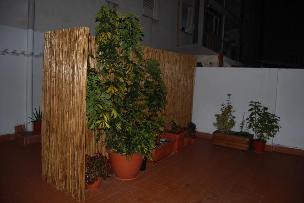 arx1267758250r.JPG