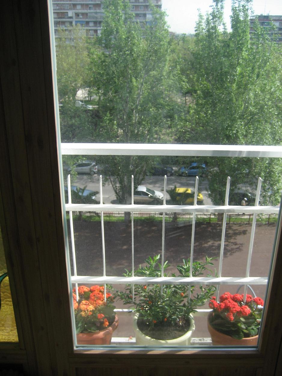 arx1272514486s.jpg