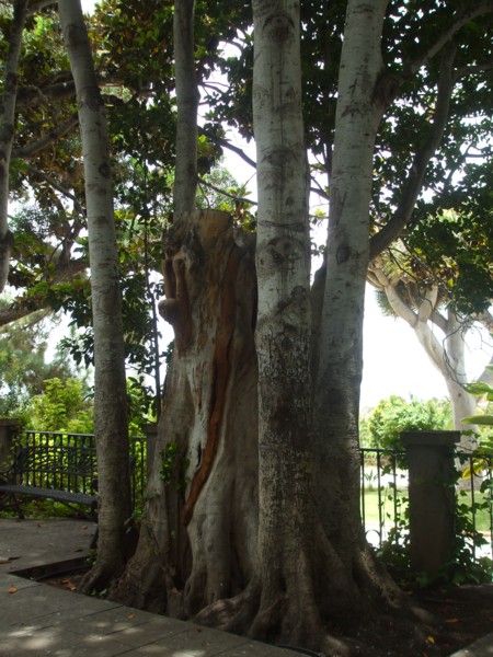 arx1280205676c.JPG