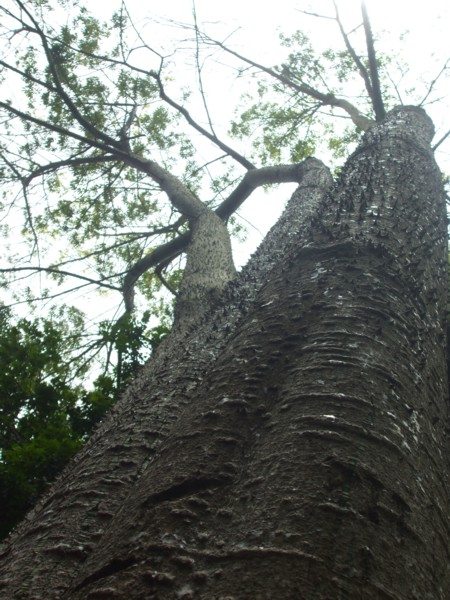 arx1280206286e.JPG