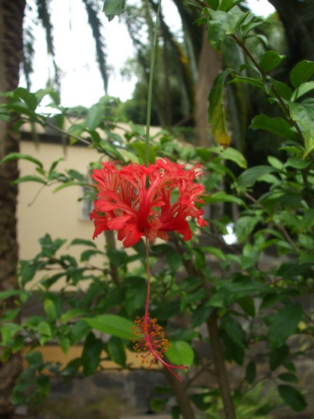 arx1280206500x.JPG