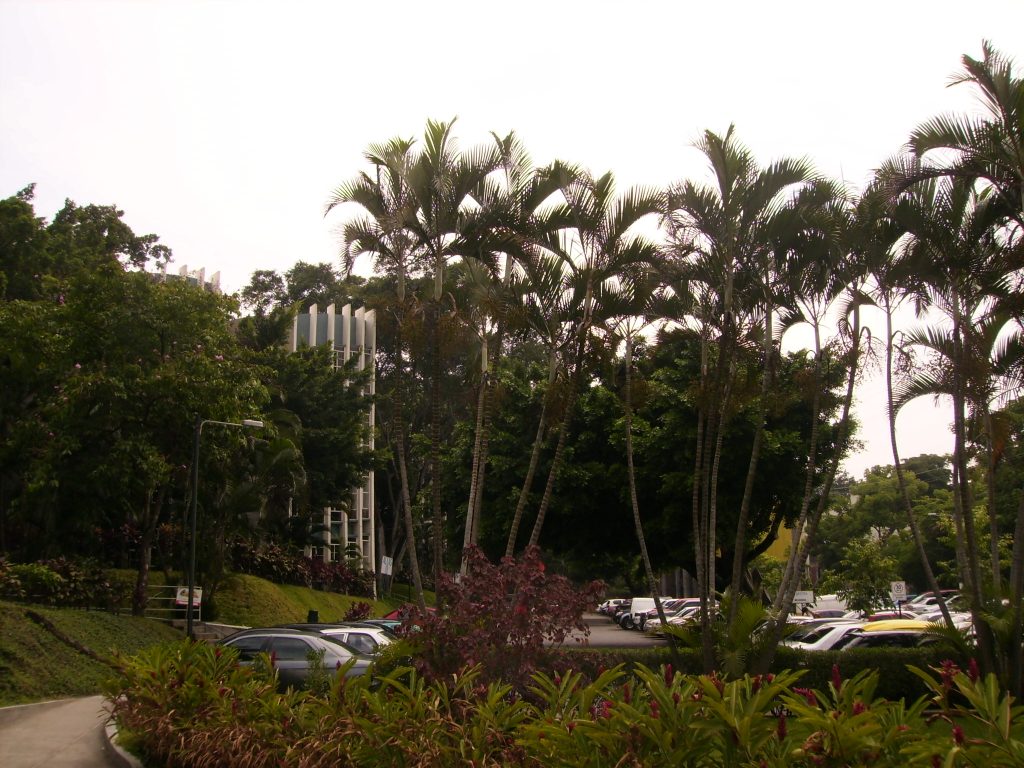 arx1283575762w.jpg