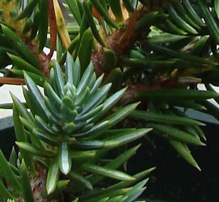 arx1283681968k.JPG