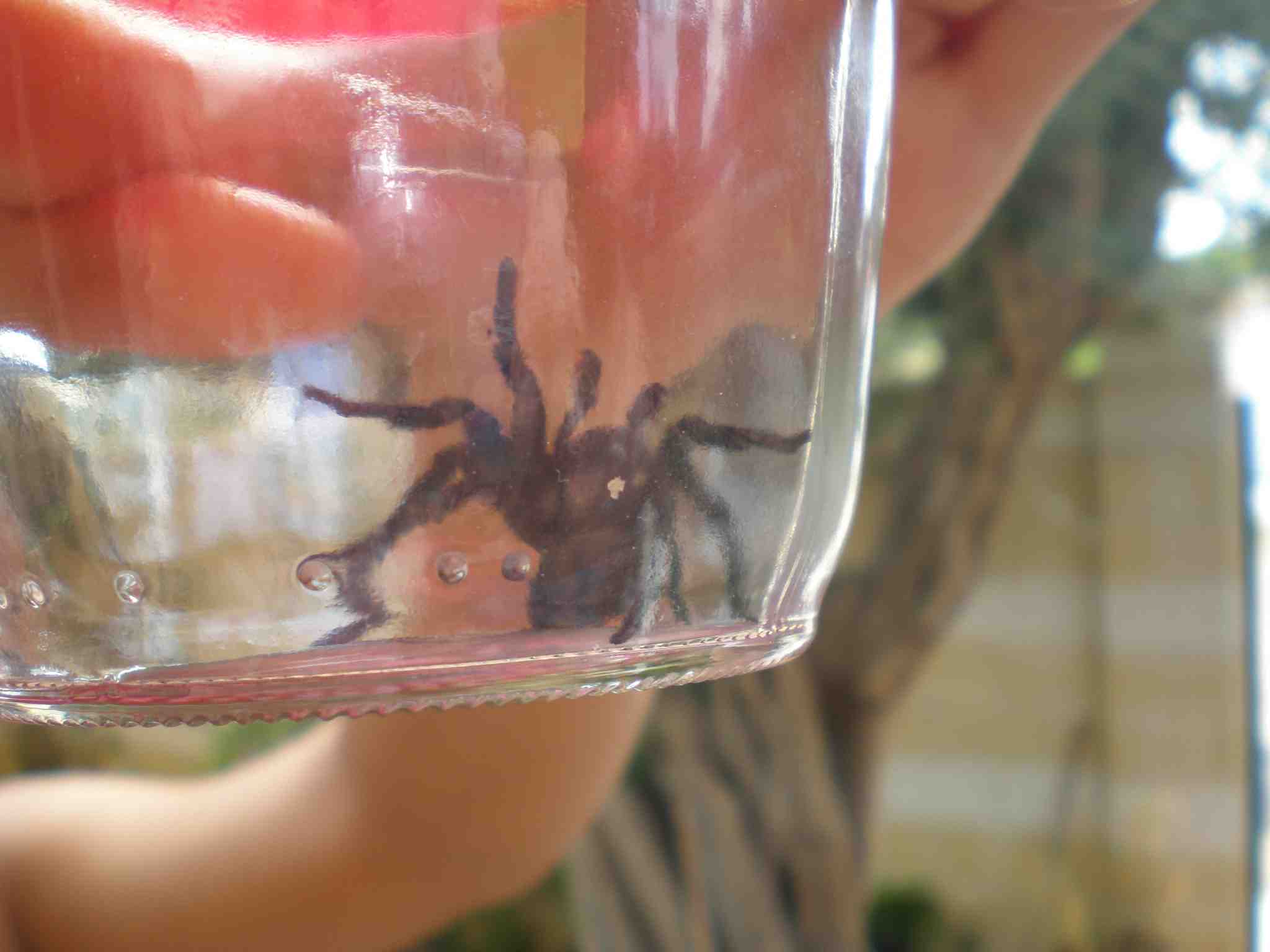arx1284255000g.JPG