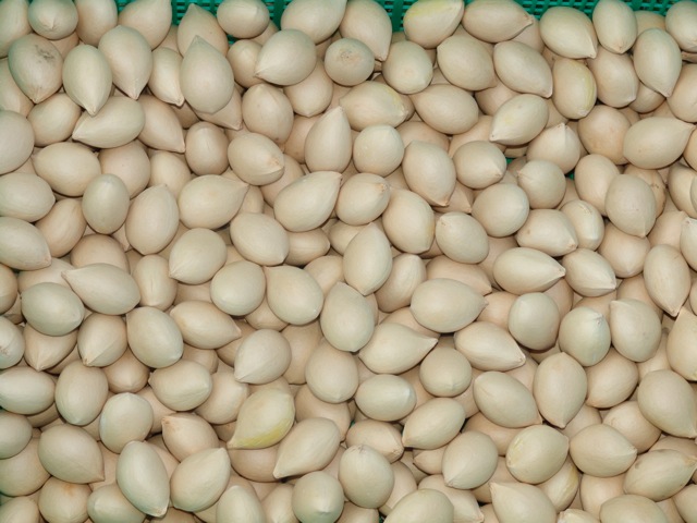 arx1287432733e.jpg