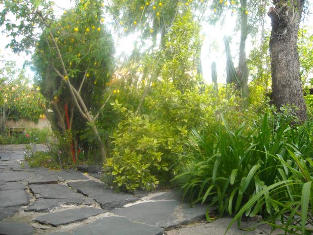 arx1288364522e.jpg