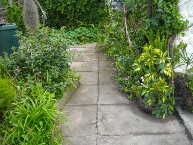 arx1288468759o.jpg