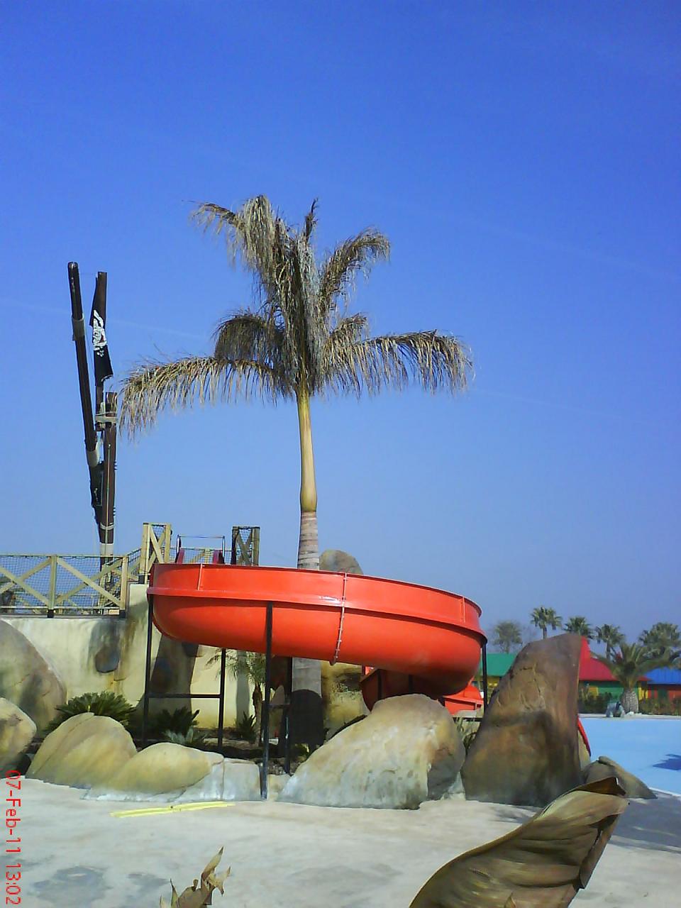 arx1298586182g.JPG