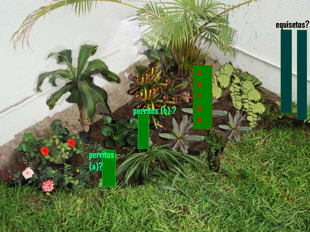 arx1299622980tbb.png