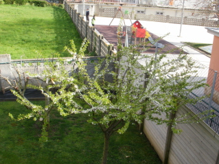 arx1300142624u.jpg