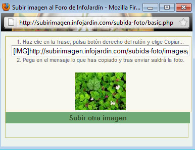 arx1303820291x.jpg