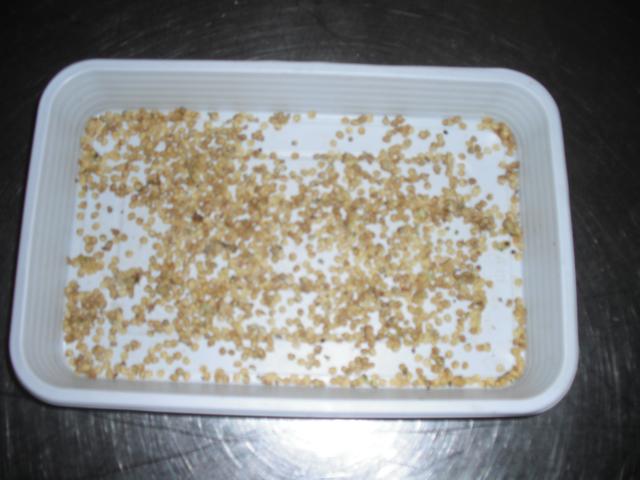 arx1311952005f.jpg