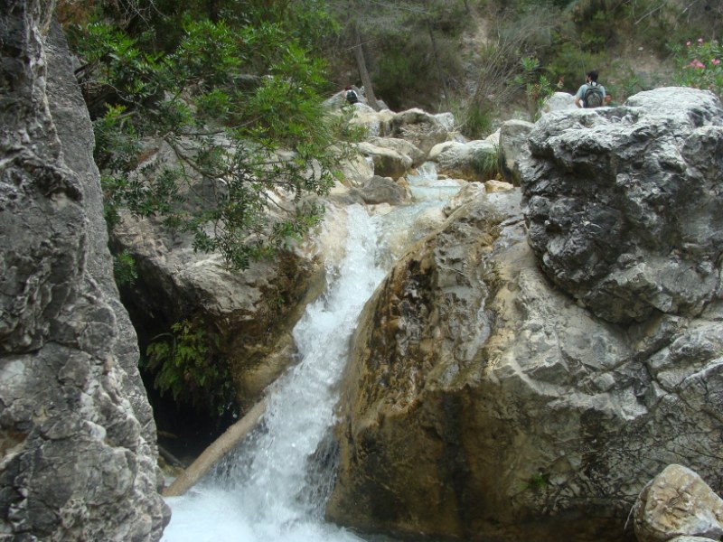 arx1312050488c.jpg