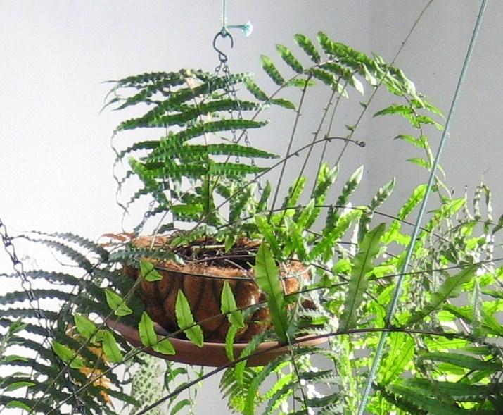 arx1312231296q.JPG