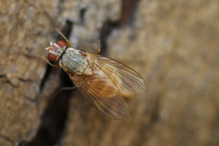 arx1312285210o.jpg