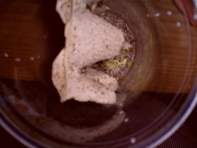 arx1312466966d.JPG