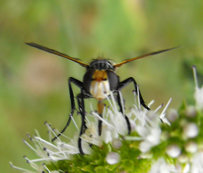 arx1312495811i.jpg