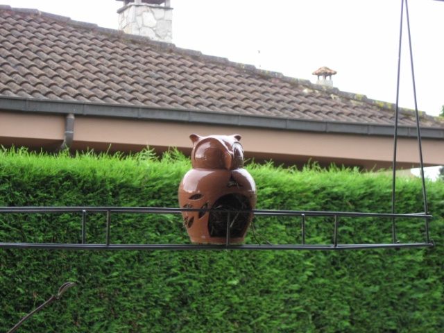 arx1312580457o.JPG