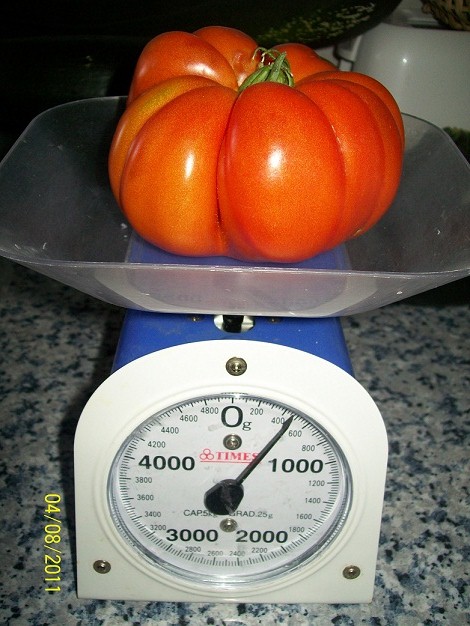 arx1313072159g.JPG