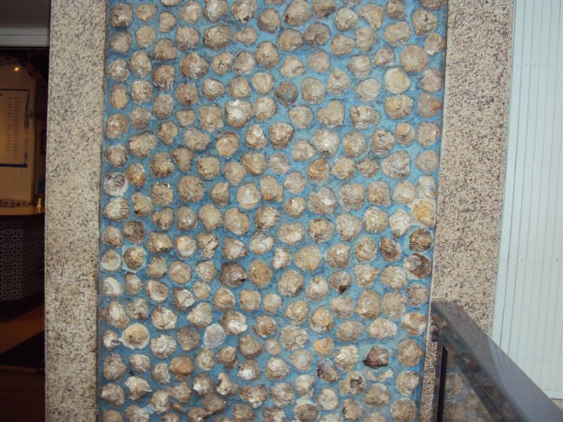 arx1313168837r.JPG