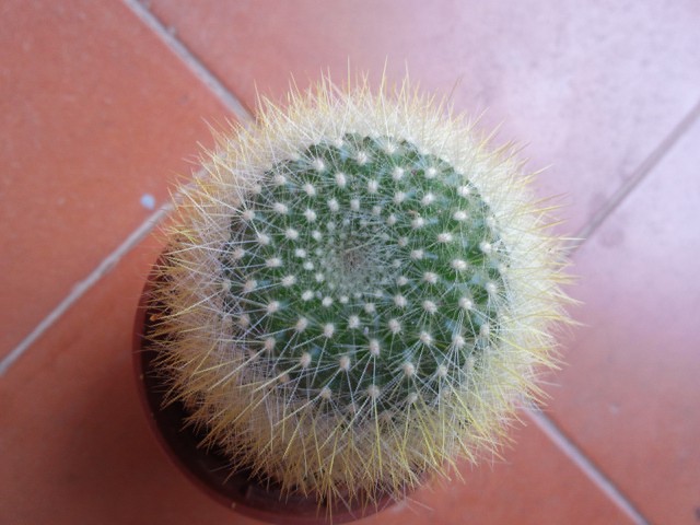 arx1313322663r.jpg