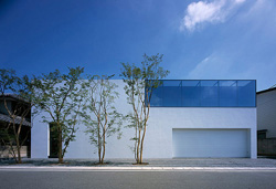 arx1313337857u.jpg