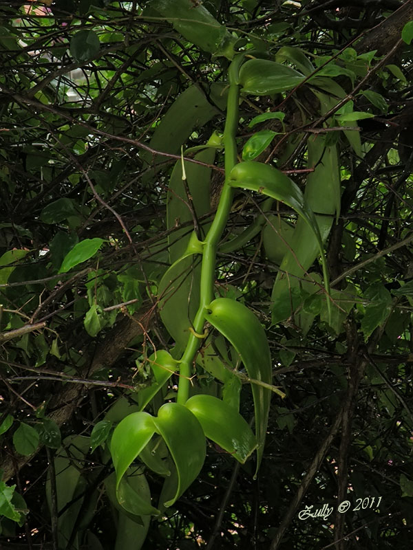arx1313370183u.jpg