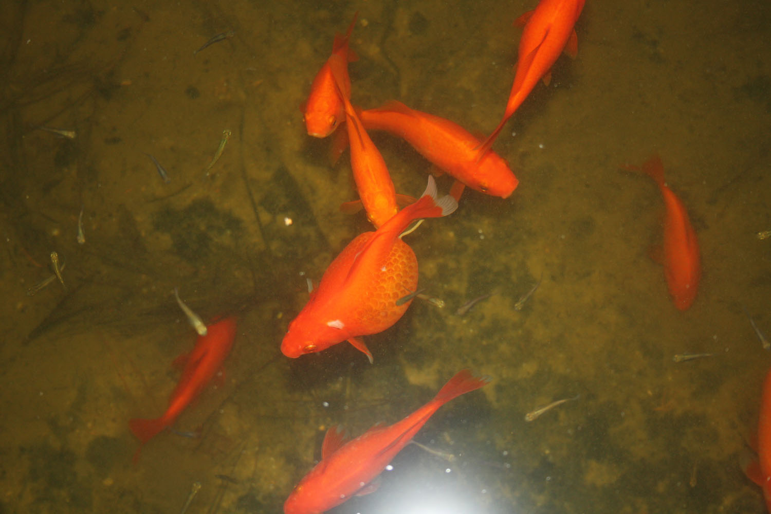 arx1313620540m.jpg