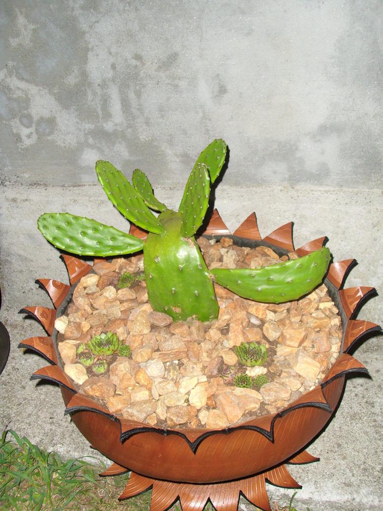 arx1318027091l.JPG