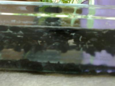 arx1319382562z.jpg