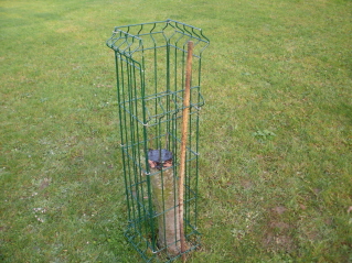 arx1360952112a.jpg