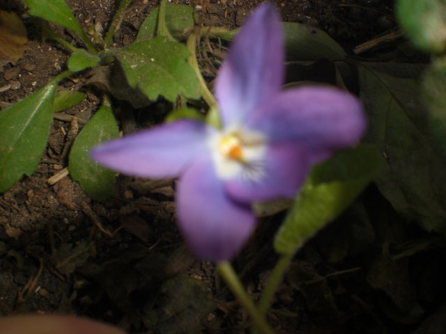 arx1363092556z.JPG