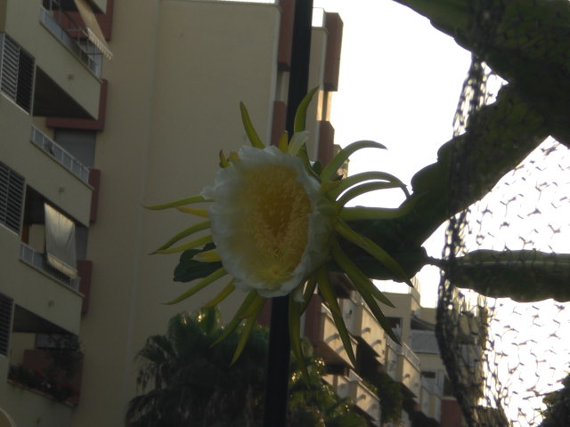 arx1376471088w.JPG