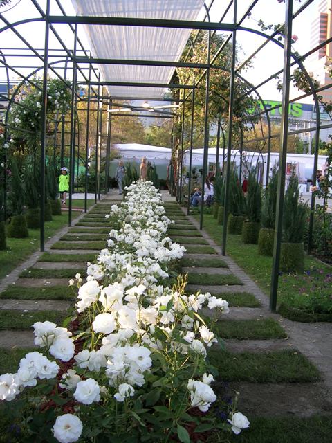 Asociaci_n_de_la_Rosa_24-25-26_Octubre_070.jpg