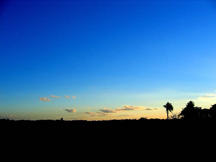 atardecer.jpg