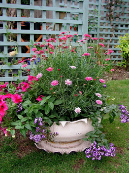 atireplanter.jpg