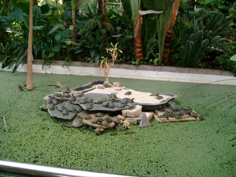 Atocha.jpg