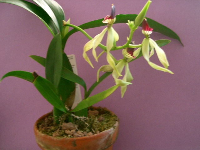 attachment.php?attachmentid=10502&stc=1&d=1159111402.jpg