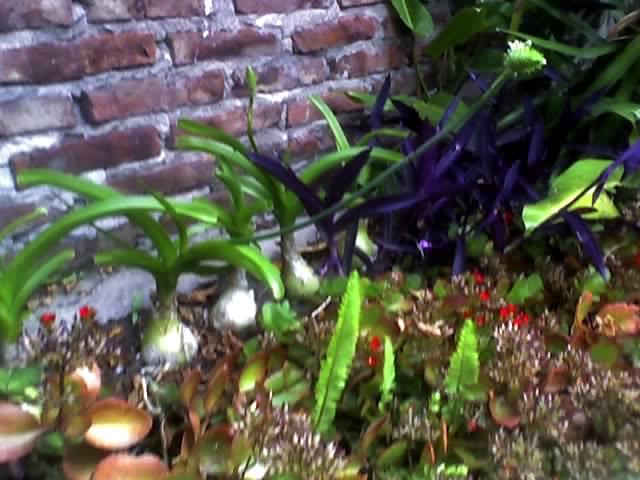 attachment.php?attachmentid=16137&stc=1&d=1162674839.jpg