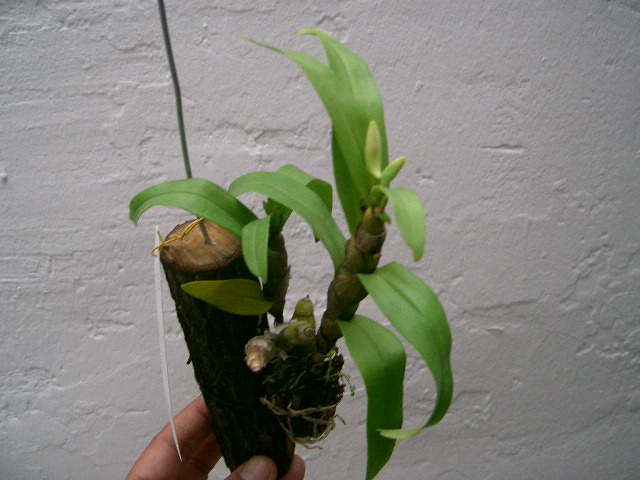 attachment.php?attachmentid=19864&stc=1&d=1165170796.jpg