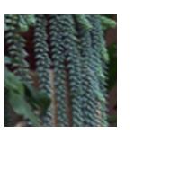 attachment.php?attachmentid=21026&stc=1&d=1165937069.jpg