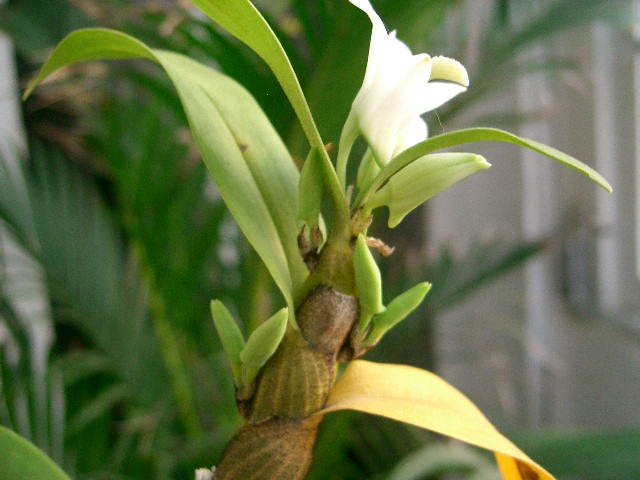 attachment.php?attachmentid=23075&stc=1&d=1167529258.jpg