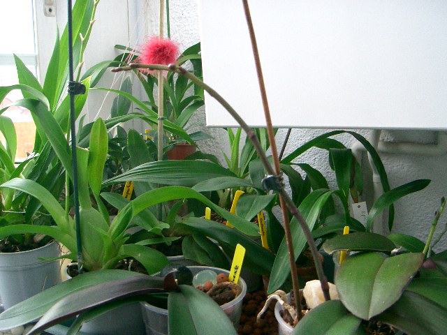 attachment.php?attachmentid=27198&stc=1&d=1170298876.jpg