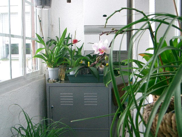 attachment.php?attachmentid=27199&stc=1&d=1170298876.jpg