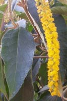 attachment.php?attachmentid=29260&stc=1&d=1171483360.jpg