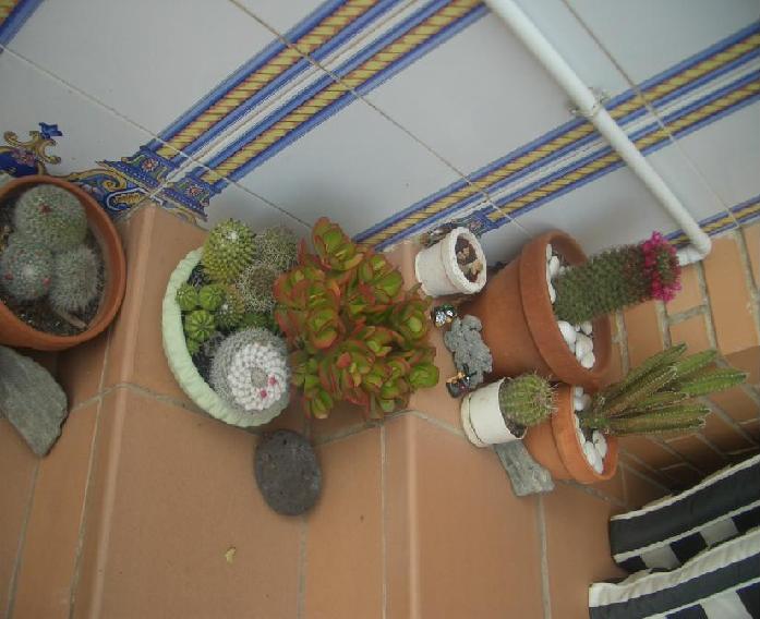 attachment.php?attachmentid=38037&d=1176073188.jpg