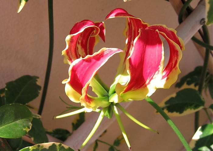 attachment.php?attachmentid=47134&d=1181329897.jpg
